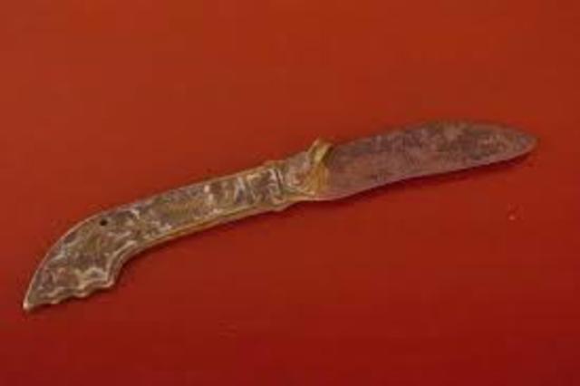 First Case Recorded Using Forensic Science