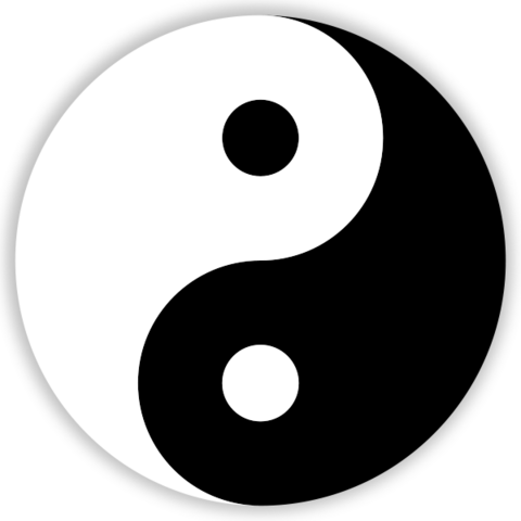 Mental Hypocrisy: Huck's psychological viewpoint on society vs. himself while on the river.