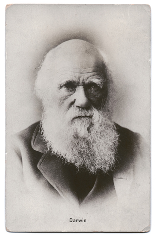 Darwin