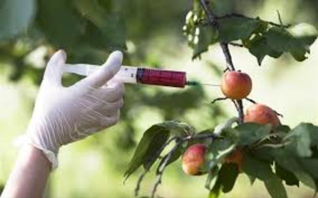 Jobs from the future-Farmers of genetically modified food