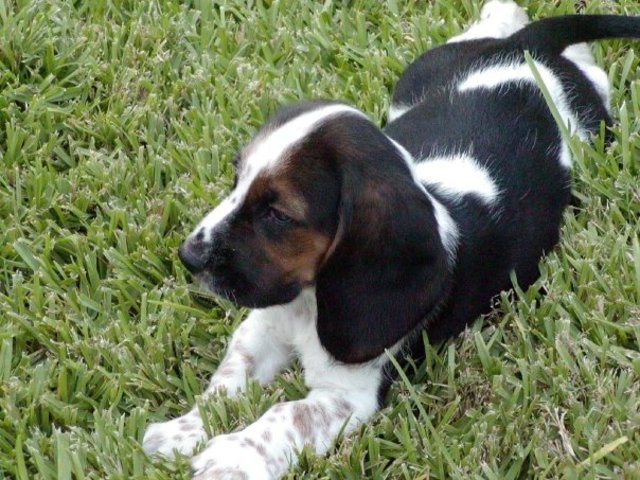 We got my dog Buster!!!