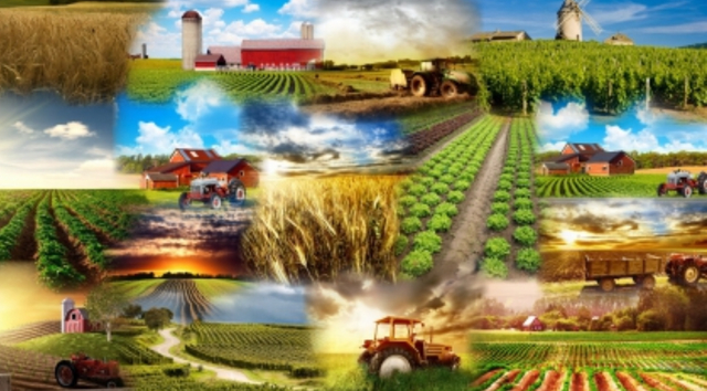 Agriculture and the plow