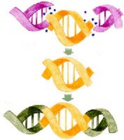 First genetically engineered vaccine announced