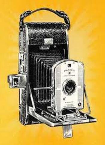 Polaroid