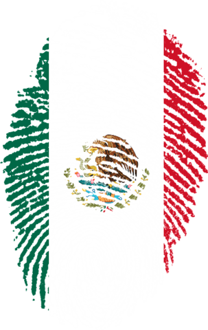 Desarrollo del Derecho a la Protección de Datos Personales