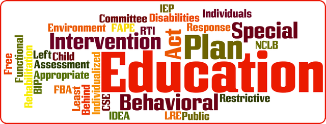 Individuals With Disabilities Education Improvement Act (IDEIA)