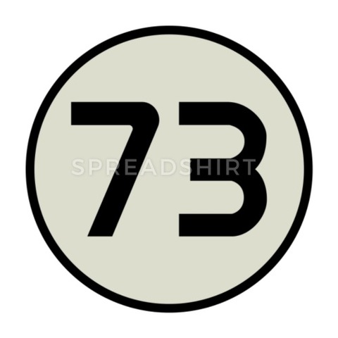 Articulo 73 Constitucional