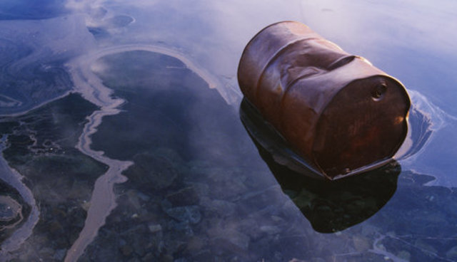 "Det antiautoritære opprøret" - Den grønne bølgen