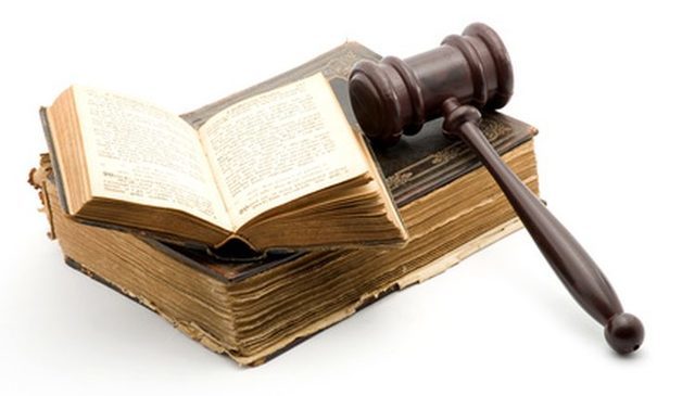 dictamen de referencia