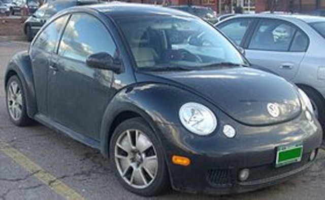 beetle 2010