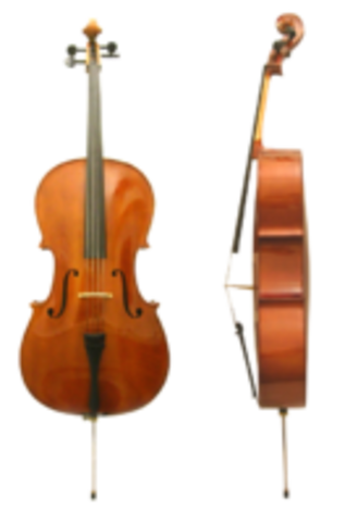 Violonchelo