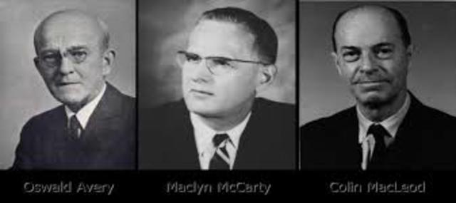 Avery, MacLeod y McCarty,