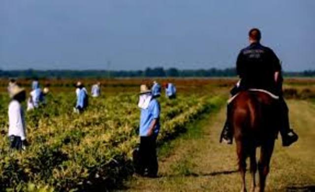 Fortalecimiento de proyecto de vida de las PPL(autonomía de conciencia)