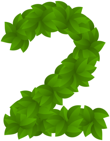 Segunda etapa de la Gestión Ambiental.