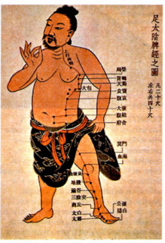 La acupuntura como remedio