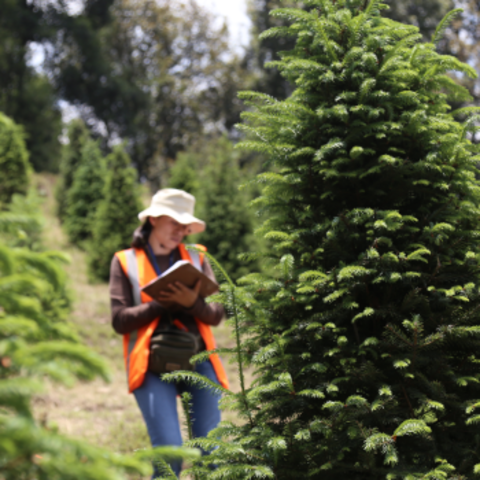 Subsecretaría de Recursos Forestales y de Caza