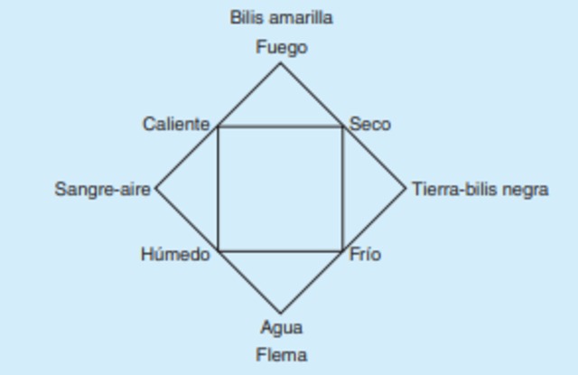 Galeno (129 d.C. –216 d.C.)