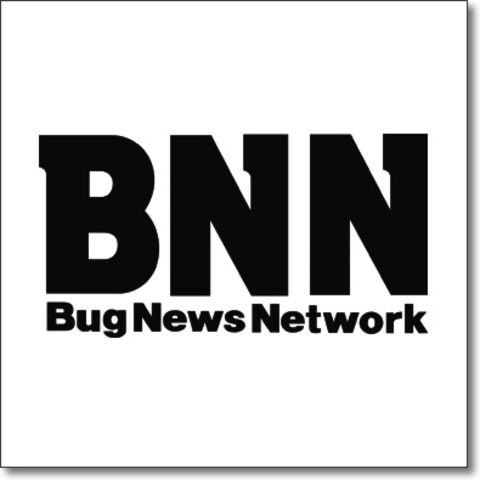 BNN instala el primer IMP en Network