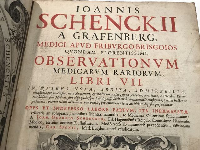 Johann Schenck von Grafenberg (1530-1598)