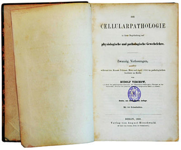 Rudolf Virchow (1821-1902)