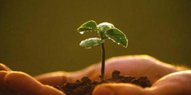 Proyección a Largo Plazo