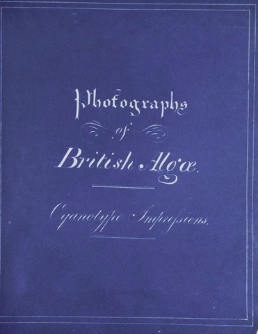 Photographs of British Algae: Cyanotype Impressions