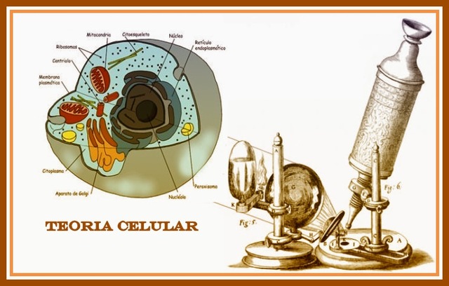 Teoría Celular