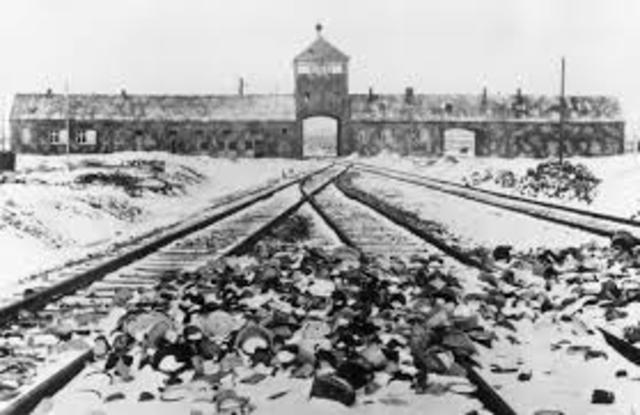 Auschwitz