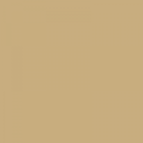 Asalto a la fortaleza de la Bastilla por el pueblo de París