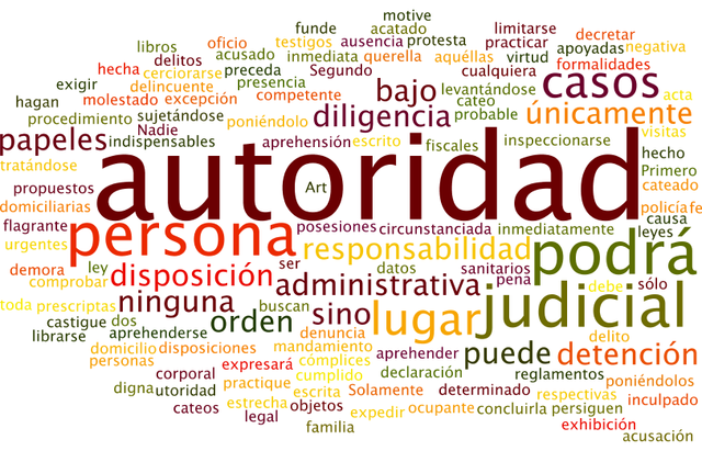 Reforma Articulo 16 Constitucional