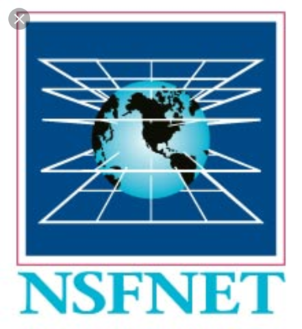 NSFeT