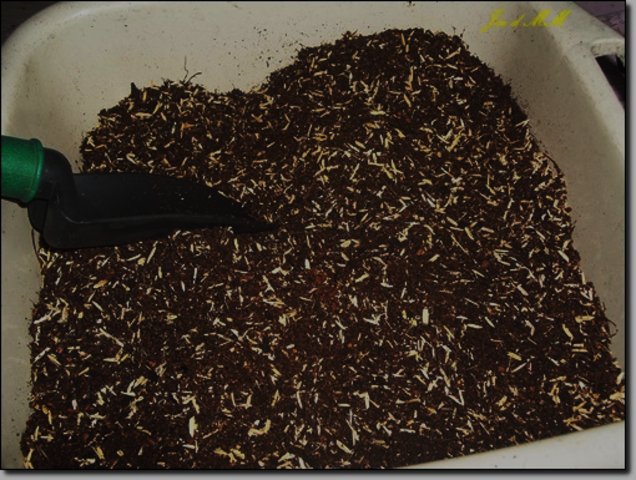 PREPARACIÓN DE LA ESTRUCTURA PARA LA SIEMBRA (3)