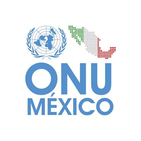 Organización de las Naciones Unidas (ONU)