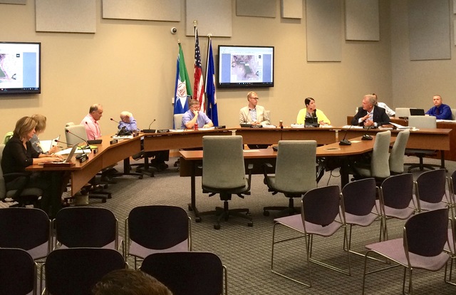 Public Access partnership passes city council