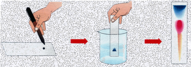 Periodo moderno de la química