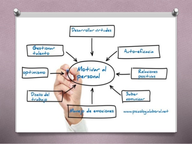 Roles en el aporte del psicólogo en las empresas