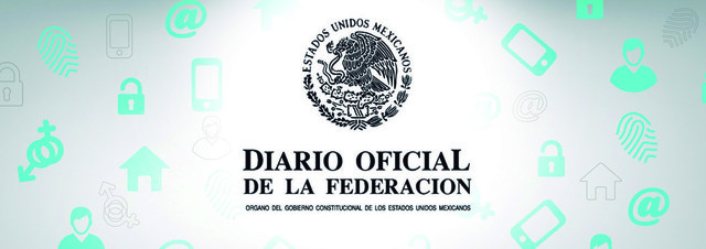 reforma del articulo 16 constitucional