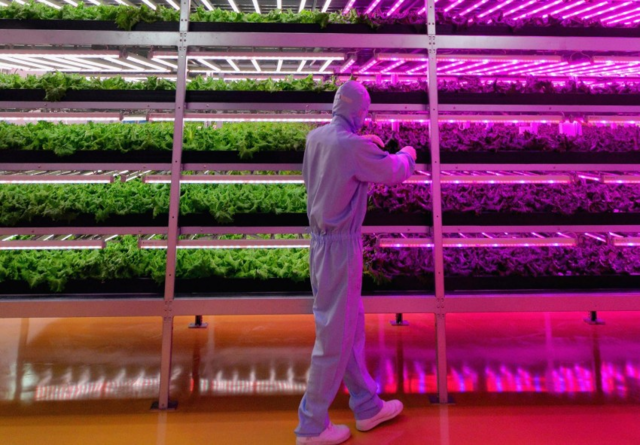 Robotstyret  landbrug