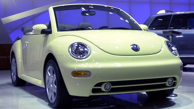Beetle 2010