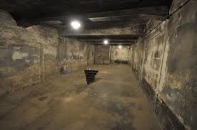 Mass Gassing at Auschwitz