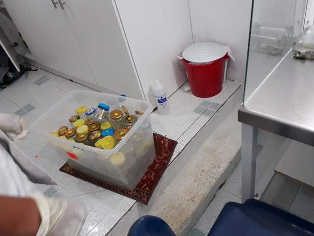 Quemazon de explantes