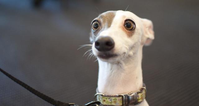 Primera inyección intravenosa