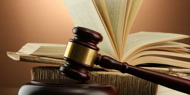 Articulo 16 de la Constitución