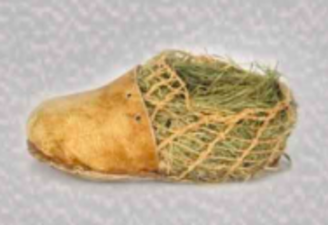 Zapatos del hombre de hielo