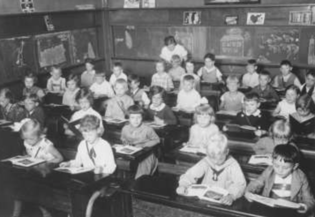 Jewish Legal and Medical Professions