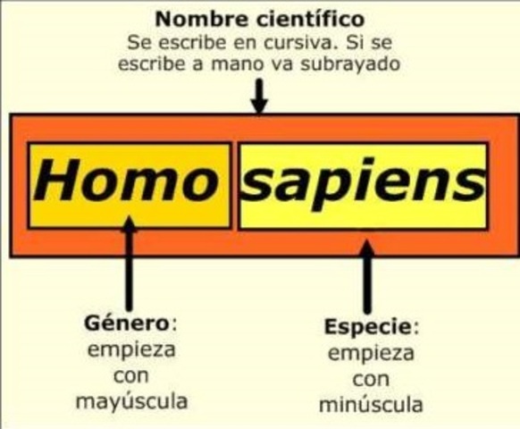 Sistema de Nomenclatura Binomial