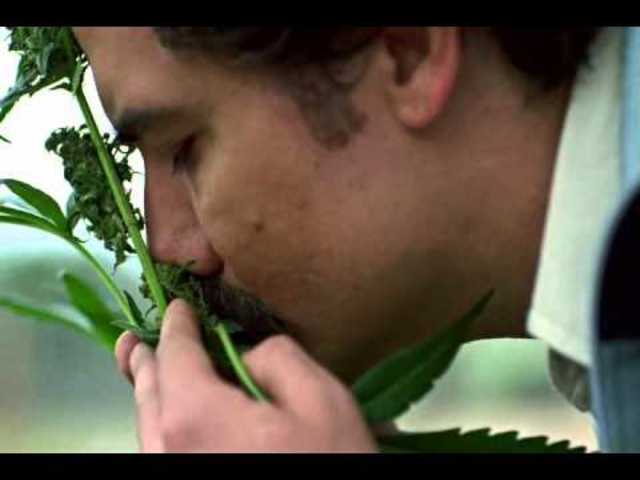 PABLO ESCOBAR EN MEDELLIN