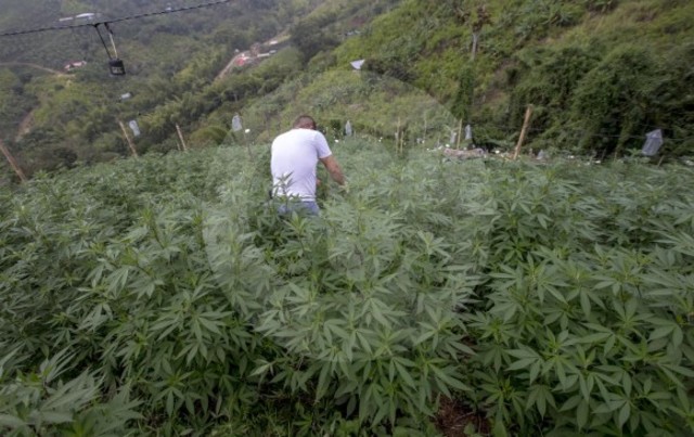 CAE CARTEL DE LA COSTA