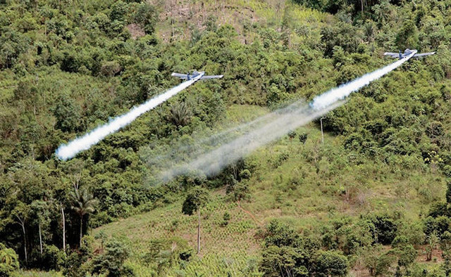 REDUCCION DE CULTIVOS ILICITOS