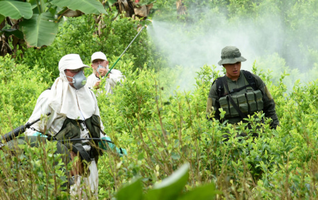 POLICIA FRENA EXPANSION DE CULTIVOS